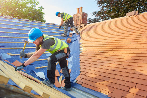 Best Sheet Metal Roofing  in Volcano Golf Course, HI
